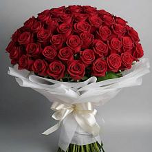 Букет 101 Красная роза Блэк Мэджик #REPLACE_PRED# Масловой Пристани