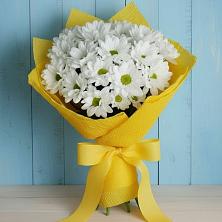 Букет цветов из:  Хризантемы в Масловой Пристани