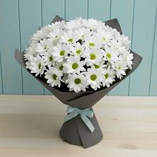 Букет цветов из:  Хризантемы в Масловой Пристани