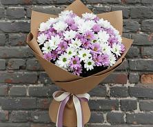 Букет цветов из:  Хризантемы в Масловой Пристани