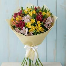 Букет цветов из:  Альстромерии в Масловой Пристани