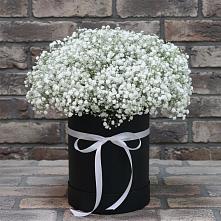 Цветочная композиция из Гипсофила в шляпной коробке в Масловой Пристани