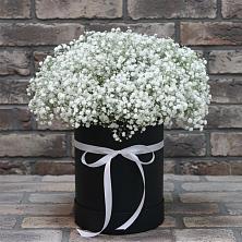 Цветочная композиция из Гипсофила в шляпной коробке в Масловой Пристани