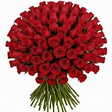 Букет Красные розы Чери Лав #REPLACE_PRED# Масловой Пристани