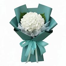 Букет цветов из:  Гортензия в Масловой Пристани